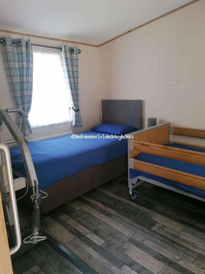 Hakuna Matata Holiday Home New Quay Zewnętrze zdjęcie