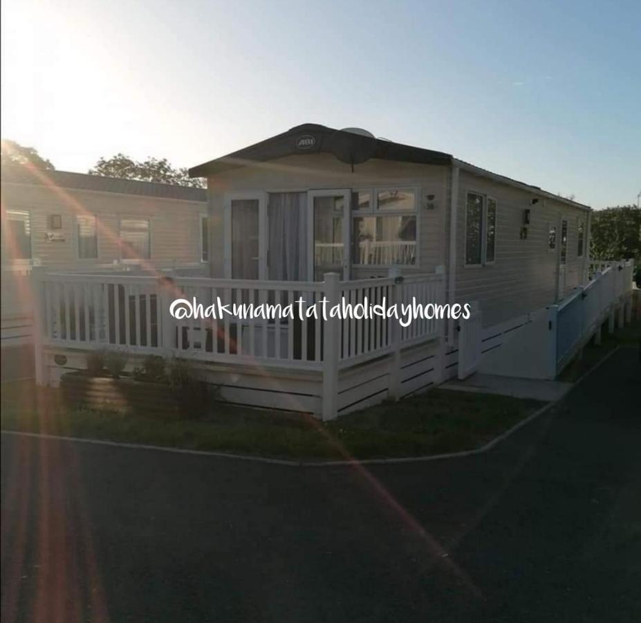 Hakuna Matata Holiday Home New Quay Zewnętrze zdjęcie