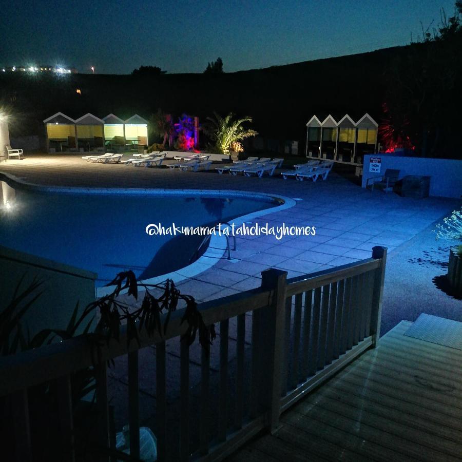 Hakuna Matata Holiday Home New Quay Zewnętrze zdjęcie