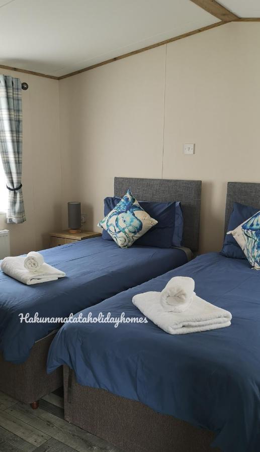 Hakuna Matata Holiday Home New Quay Zewnętrze zdjęcie