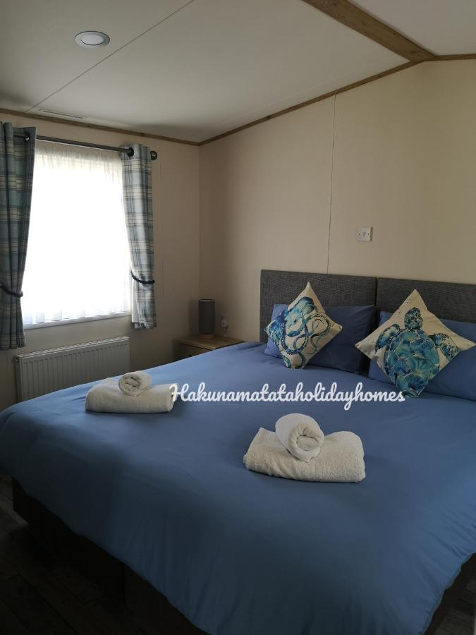 Hakuna Matata Holiday Home New Quay Zewnętrze zdjęcie
